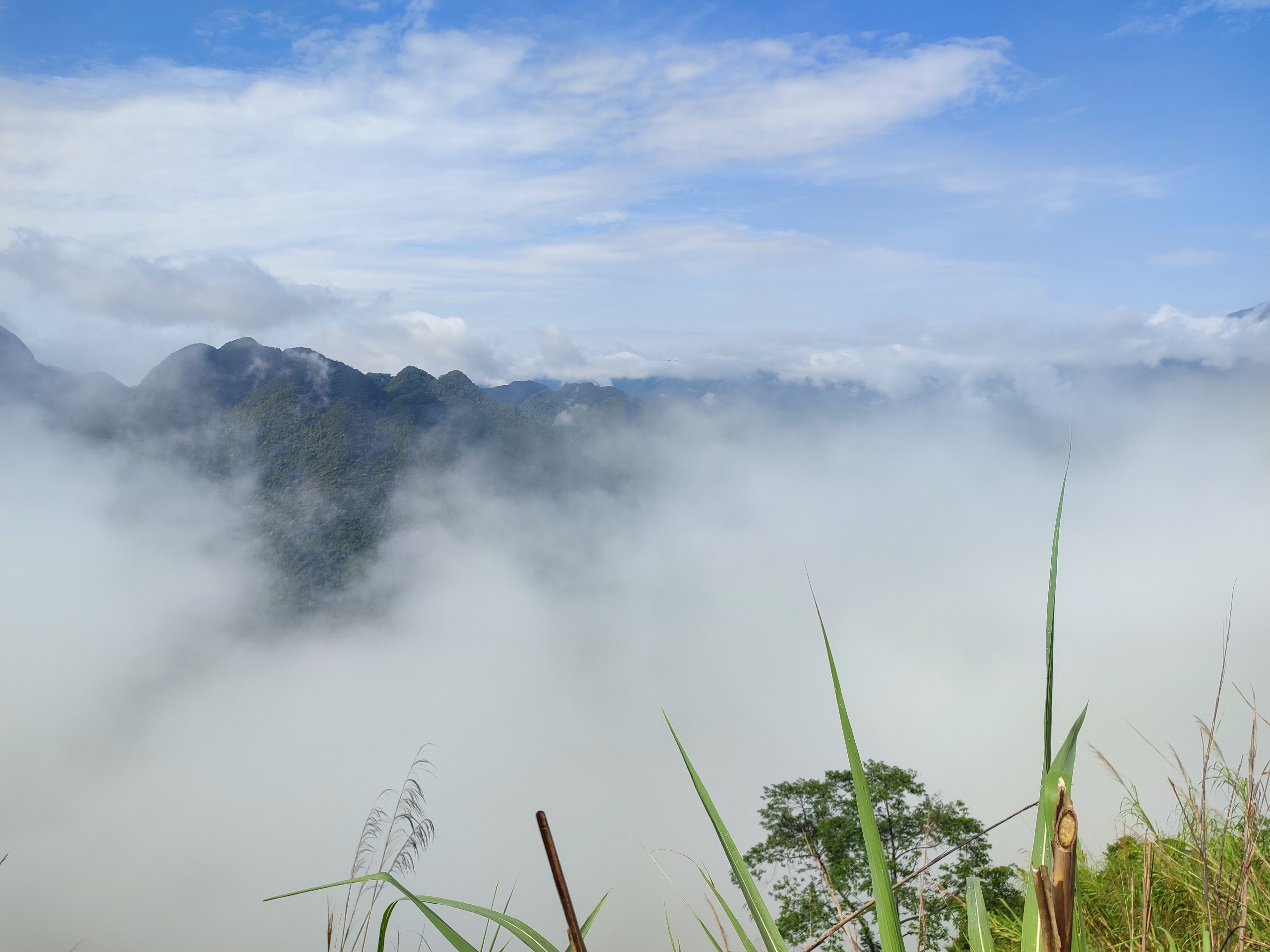 Săn Mây Ở Cổng Trời Thành Công